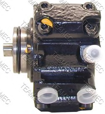 TEAMEC 874 806 High Pressure Pump